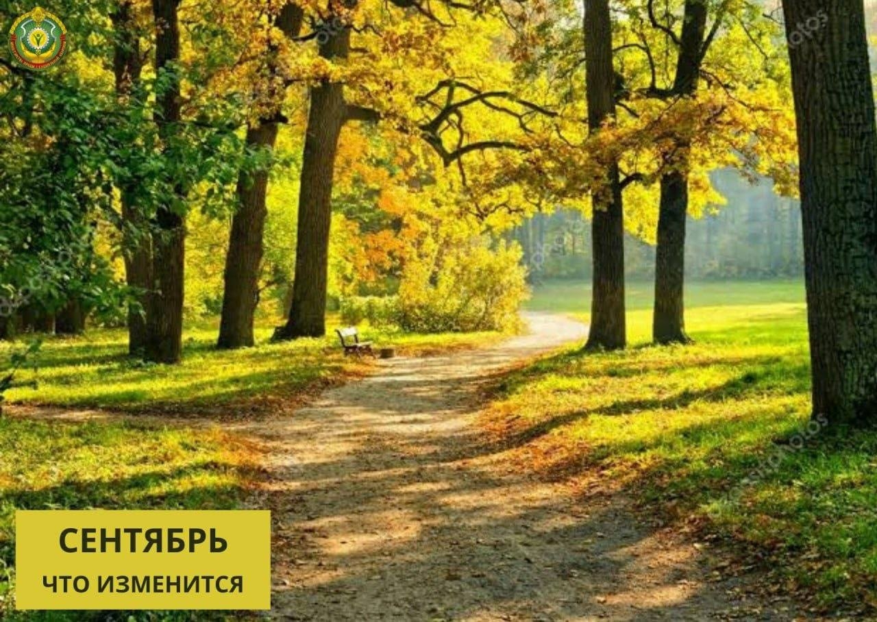 Что изменится для белорусов в сентябре — собрали важное